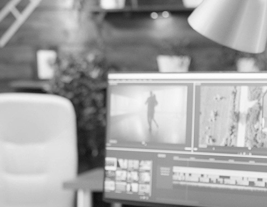 蚂蚁分类信息系统